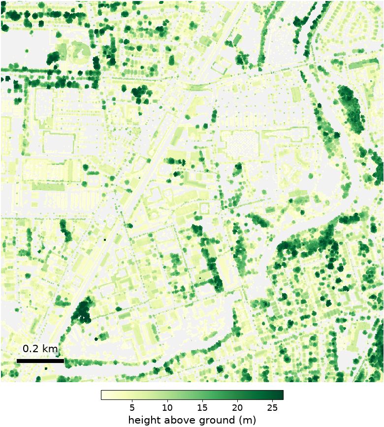 The height of everything standing on the ground, measured from the lidar point cloud. Canopy height is read only inside the mapped forest area.