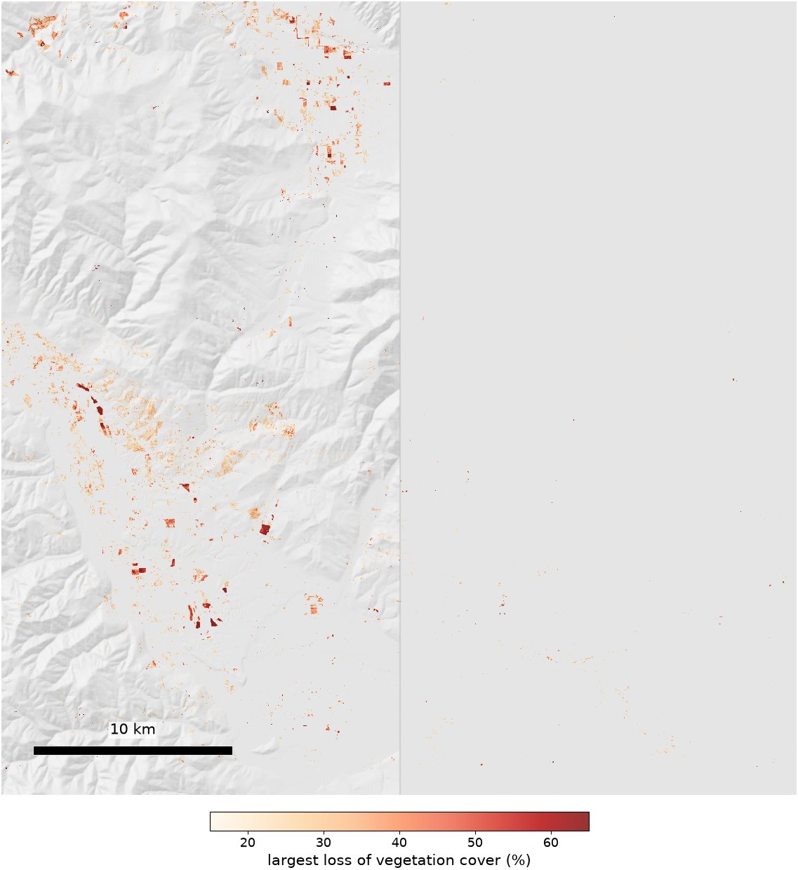 The largest confirmed loss of vegetation cover on each 30 m cell during the year, from any cause. A loss counts only once later images confirm it.